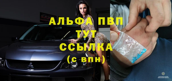 прущие крисы Беломорск