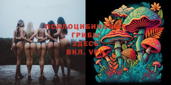 каннабис Белокуриха