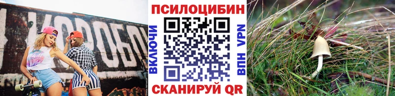 наркошоп  MEGA tor  Галлюциногенные грибы прущие грибы  Павловск 